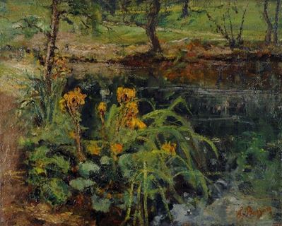 Fiori nel Lago