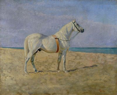 Cavallo Bianco sulla Spiaggia