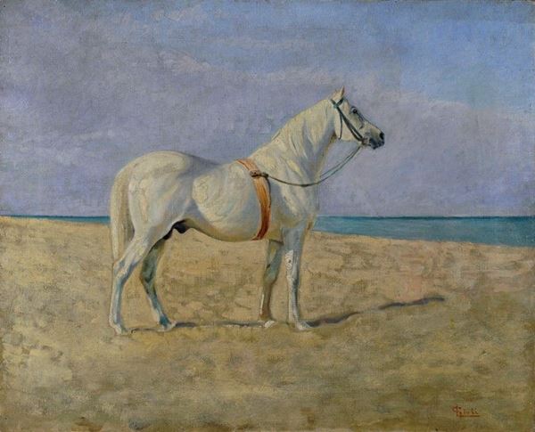Luigi Gioli : Cavallo bianco sulla spiaggia  - Olio su tela - Asta AUTORI DEL XIX E XX SEC - III - Galleria Pananti Casa d'Aste