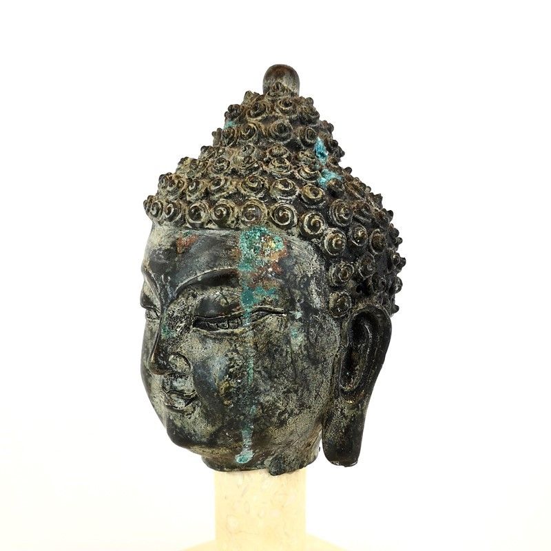 Testa di Buddha