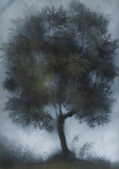 Albero