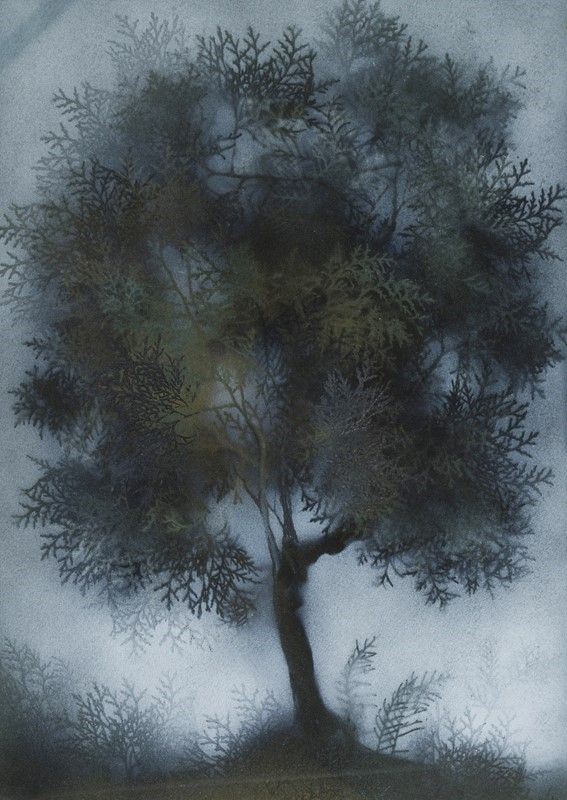 Corrado Cagli - Albero