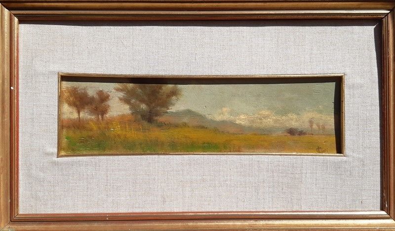 Luigi Gioli - Paesaggio