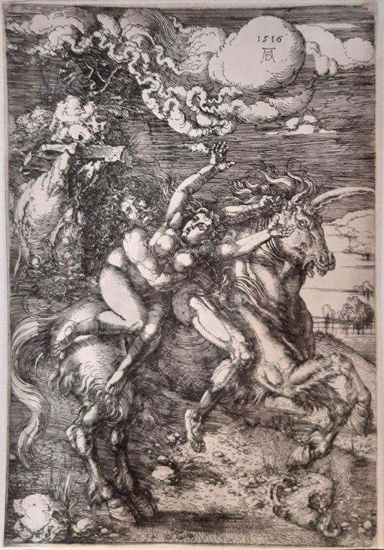 Albrecht Durer - Senza titolo