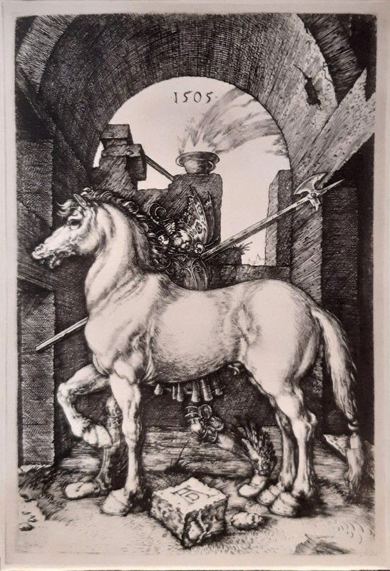 Albrecht Durer : Il cavallo piccolo  (XIX/XX sec)  - Stampa - Asta ANTIQUARIATO - Galleria Pananti Casa d'Aste