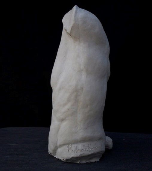 Galleria Romanelli - Torso di Fauno