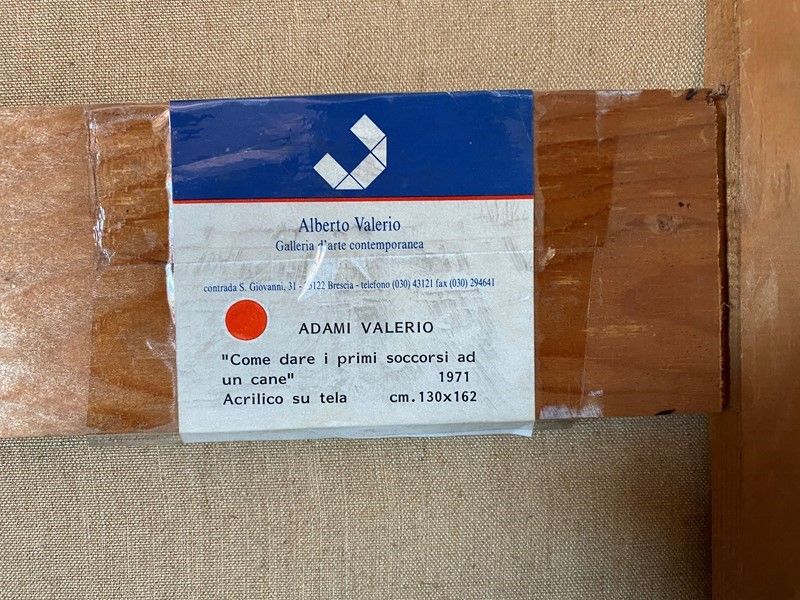 Valerio Adami - Come Dare i Primi Soccorsi a un Cane