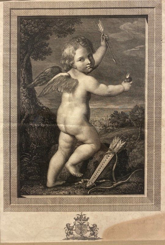 Anonimo, XIX Sec. - Putti e Stemmi Araldici