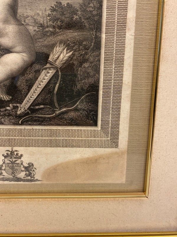 Anonimo, XIX Sec. - Putti e Stemmi Araldici