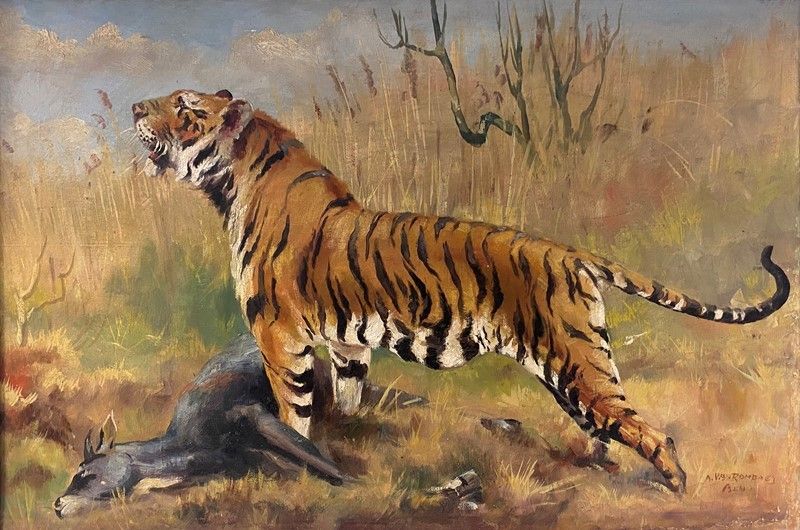 Anonimo, XX Sec. - Tigre
