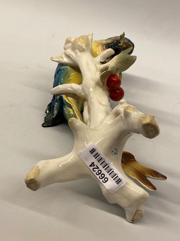 Pappagallo su Ramo di Ciliegio