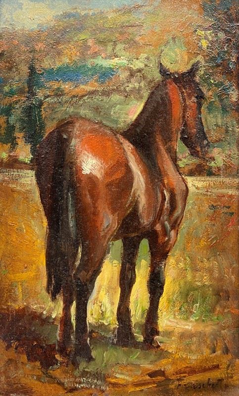 Giuseppe Fraschetti - Cavallo 