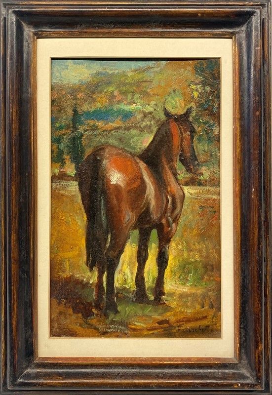 Giuseppe Fraschetti - Cavallo