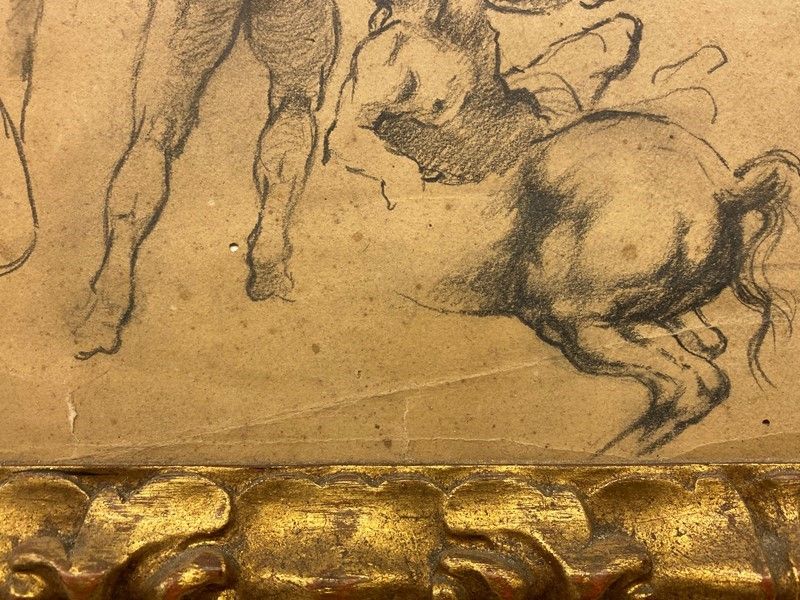 Anonimo, XIX Sec. - Schizzi di Nudi e Cavalli