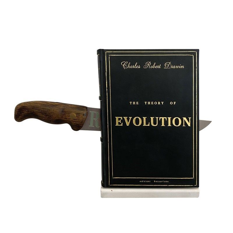 Francesco Carone - Evolution-revolution. il Libro della Rivoluzione