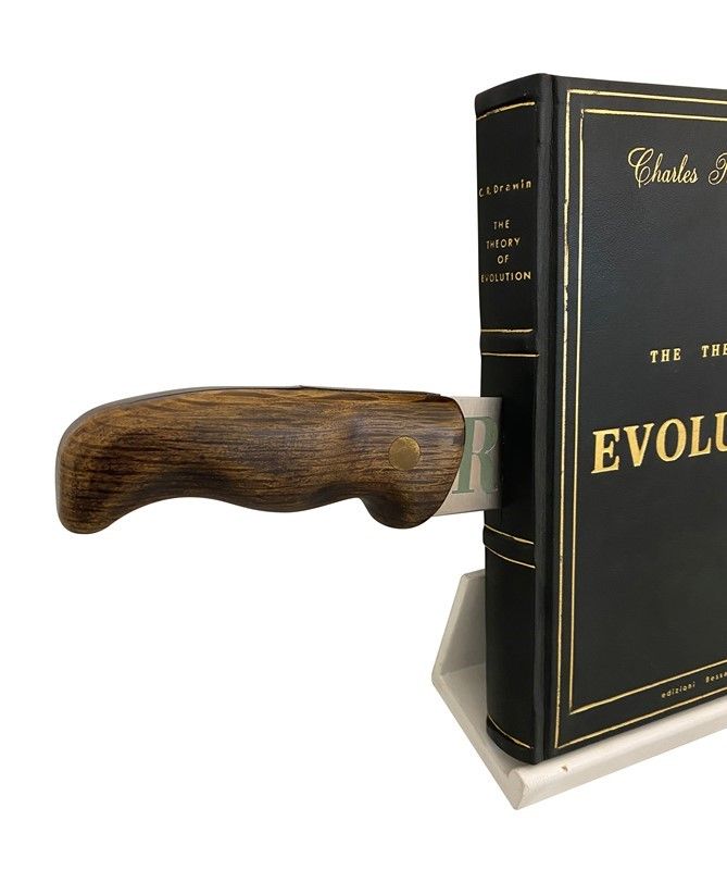 Francesco Carone - Evolution-revolution. il Libro della Rivoluzione