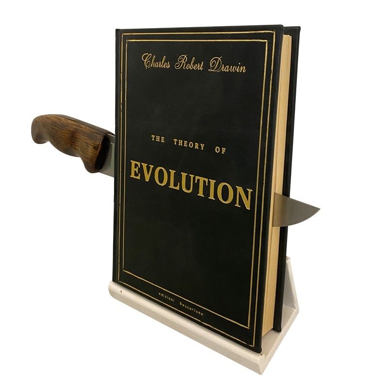 Francesco Carone - Evolution-revolution. il Libro della Rivoluzione