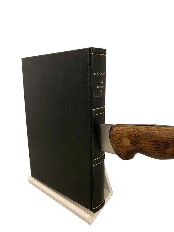 Francesco Carone - Evolution-revolution. il Libro della Rivoluzione