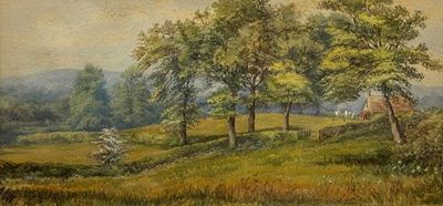 Paesaggio Campestre
