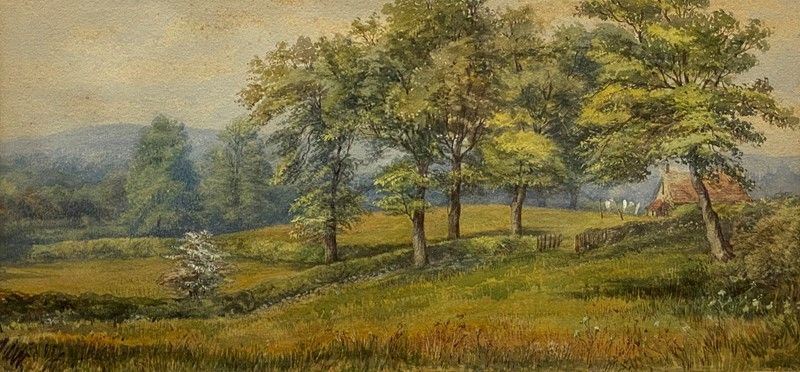 Anonimo, XX Sec. - Paesaggio Campestre
