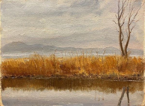 Fiorello Tosoni - Palude