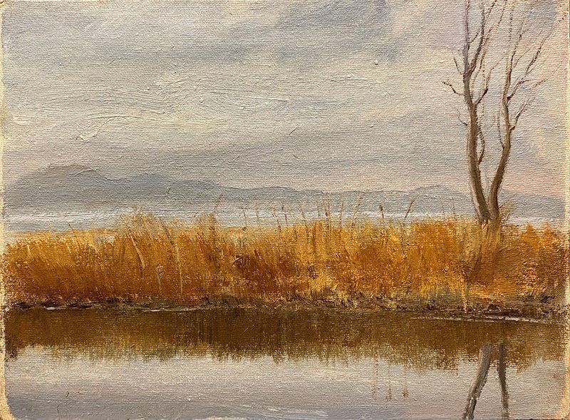 Fiorello Tosoni - Palude