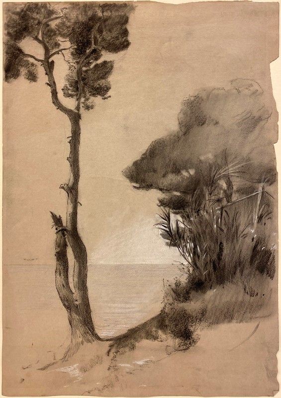 Adolf Hir&#233;my Hirschl - Maritime pine