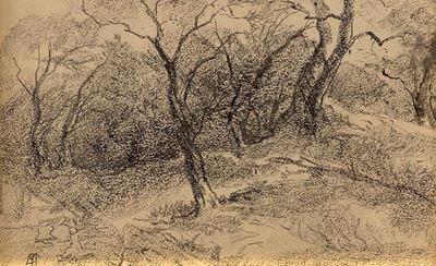 Alberi