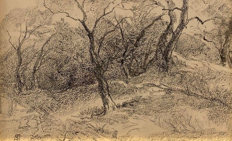 Pompeo Mariani - Alberi