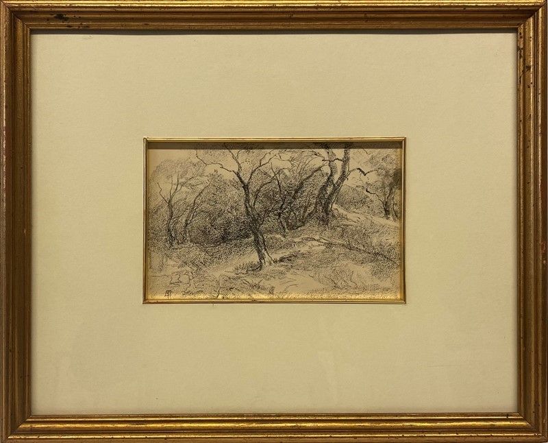 Pompeo Mariani - Alberi