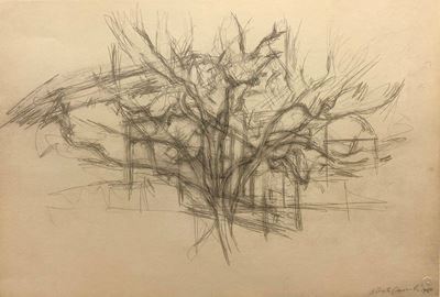 Alberi