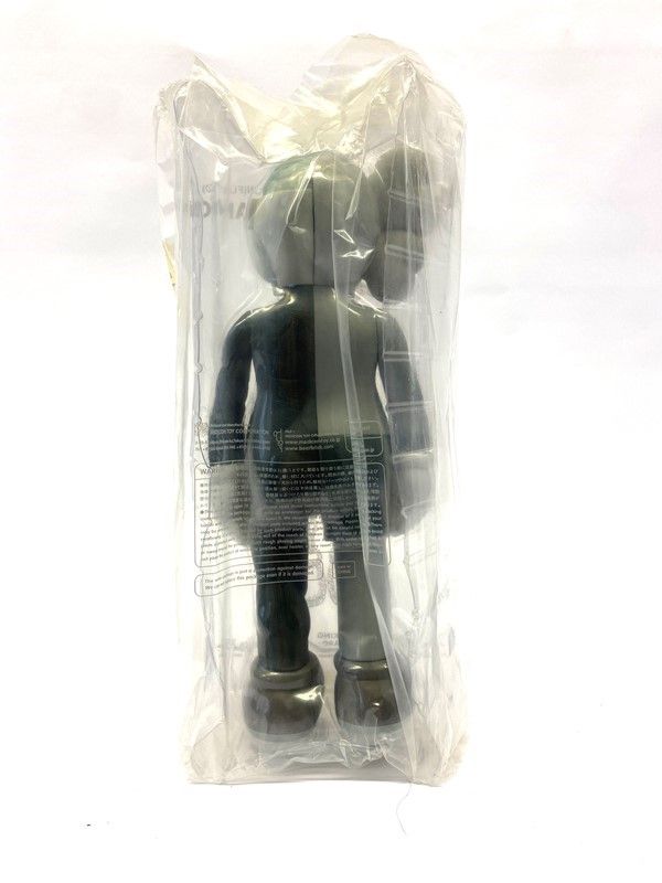 Kaws (brian Donnelly) - Companion