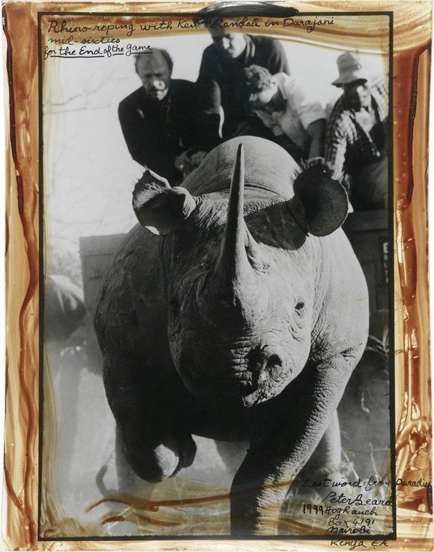 Peter Beard - Rhino Roping With Ken Randall in Darajani