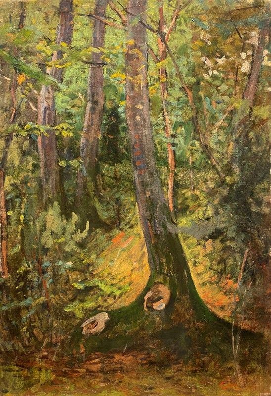 Luigi Gioli - Bosco