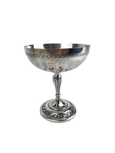 Dodici Coppette