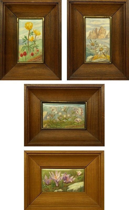 Fiori di montagna