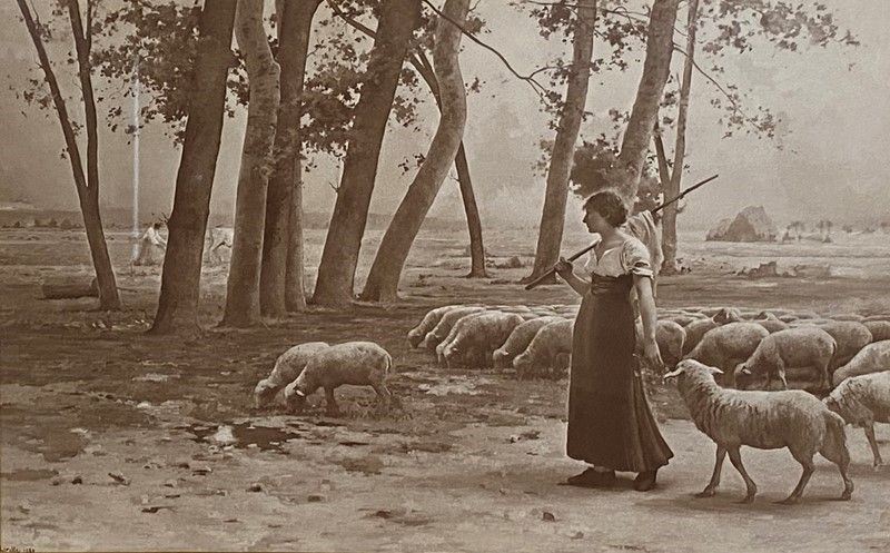 Coppia di Riproduzioni Fotografiche