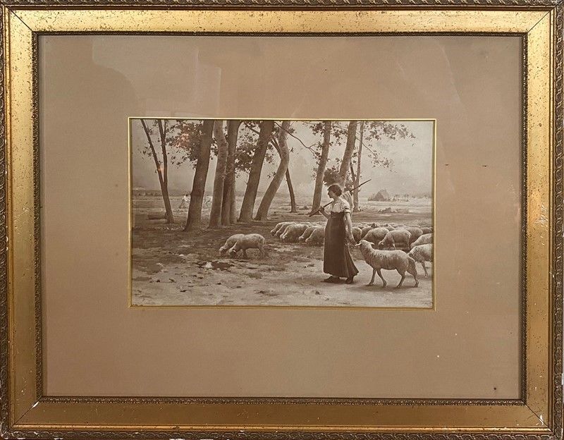 Coppia di Riproduzioni Fotografiche