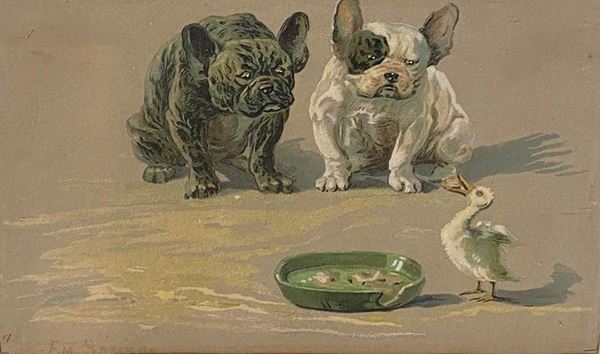 Anonimo, XIX - XX sec. - Bulldog e paperella