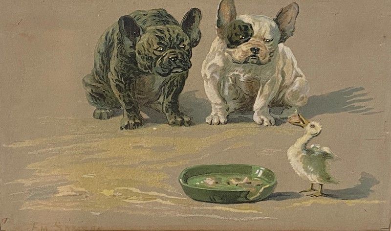 Anonimo, XIX - XX Sec. - Bulldog e Paperella