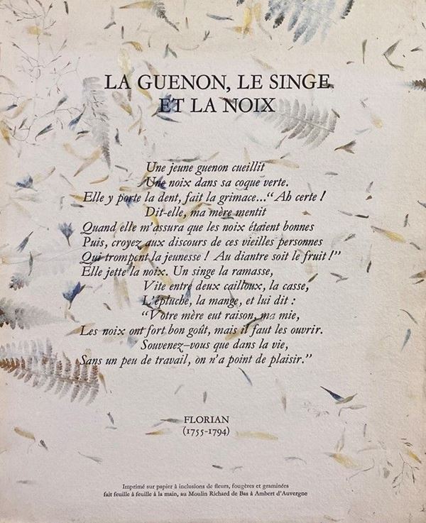 La guenon, le singe et la nox