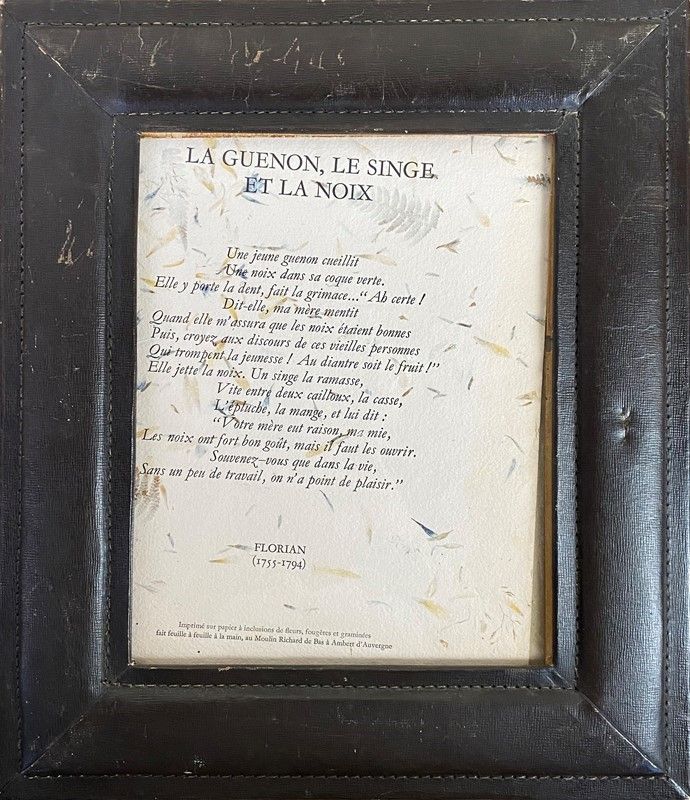 La Guenon, le Singe Et la Nox