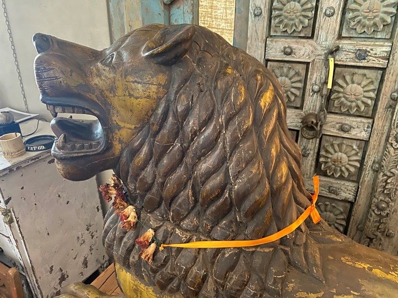 Leone da Tempio