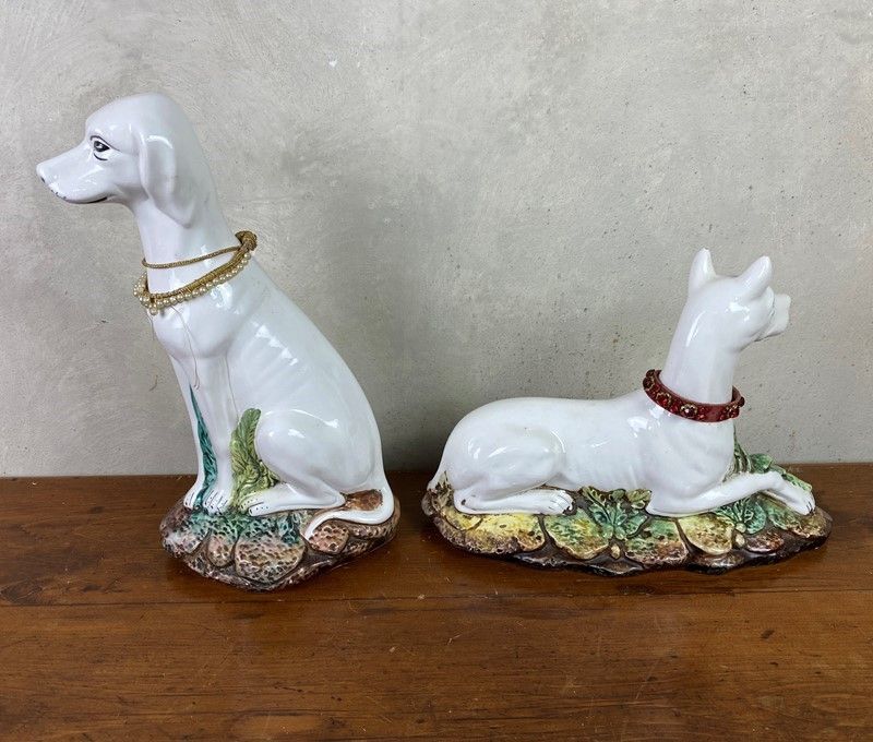 Coppia di Cani