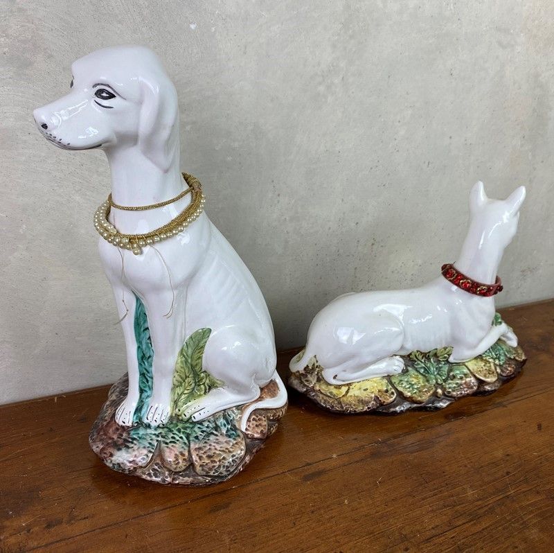 Coppia di Cani