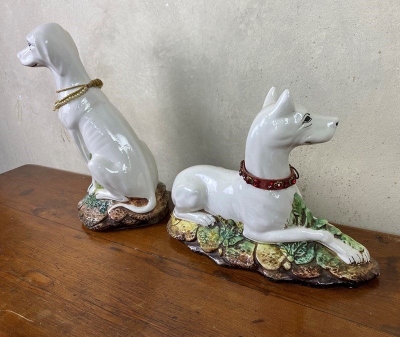 Coppia di Cani