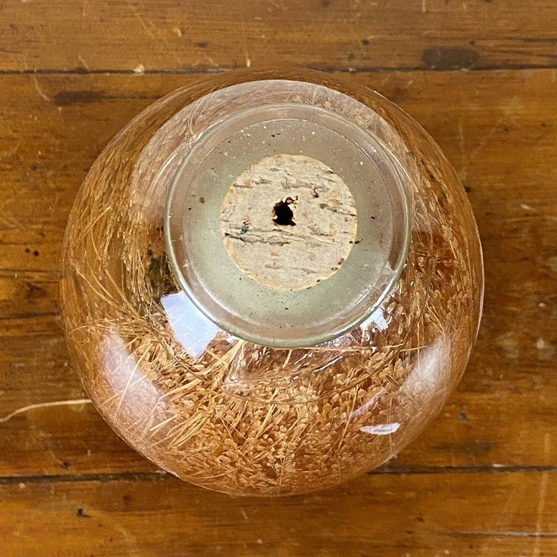 Grande Vaso con Frumento Sotto Olio
