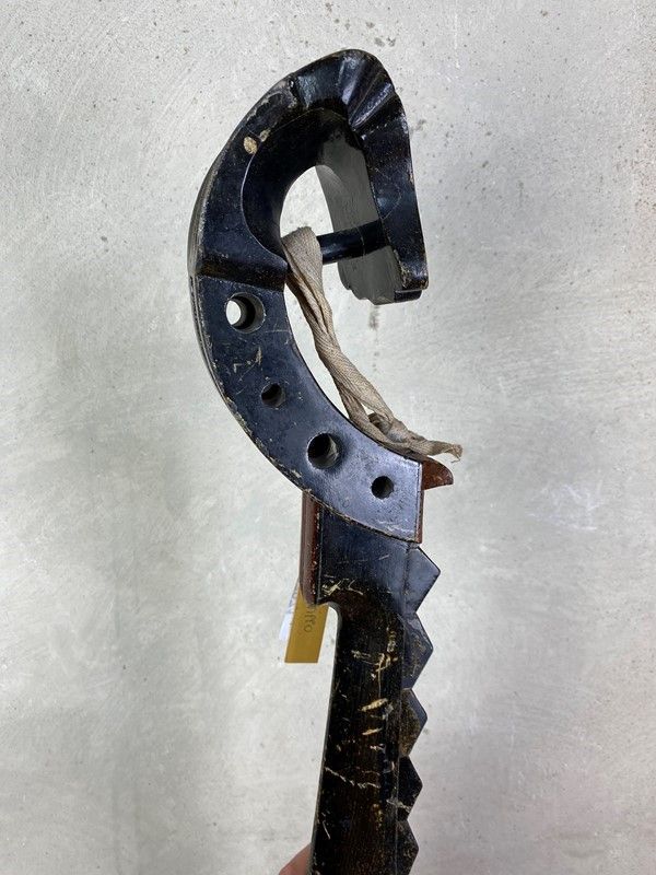 Mandola Giapponese