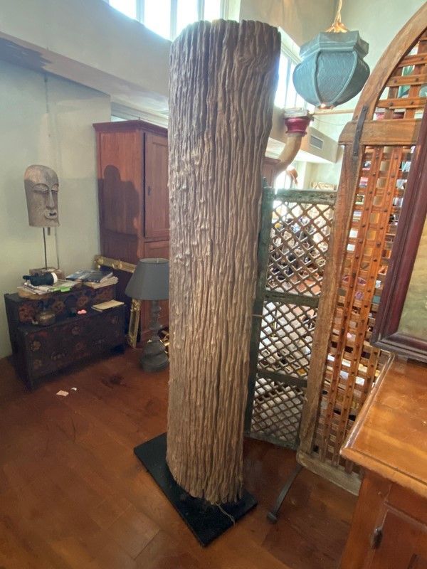 Porzione di Tronco Millenario