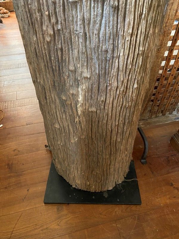 Porzione di Tronco Millenario